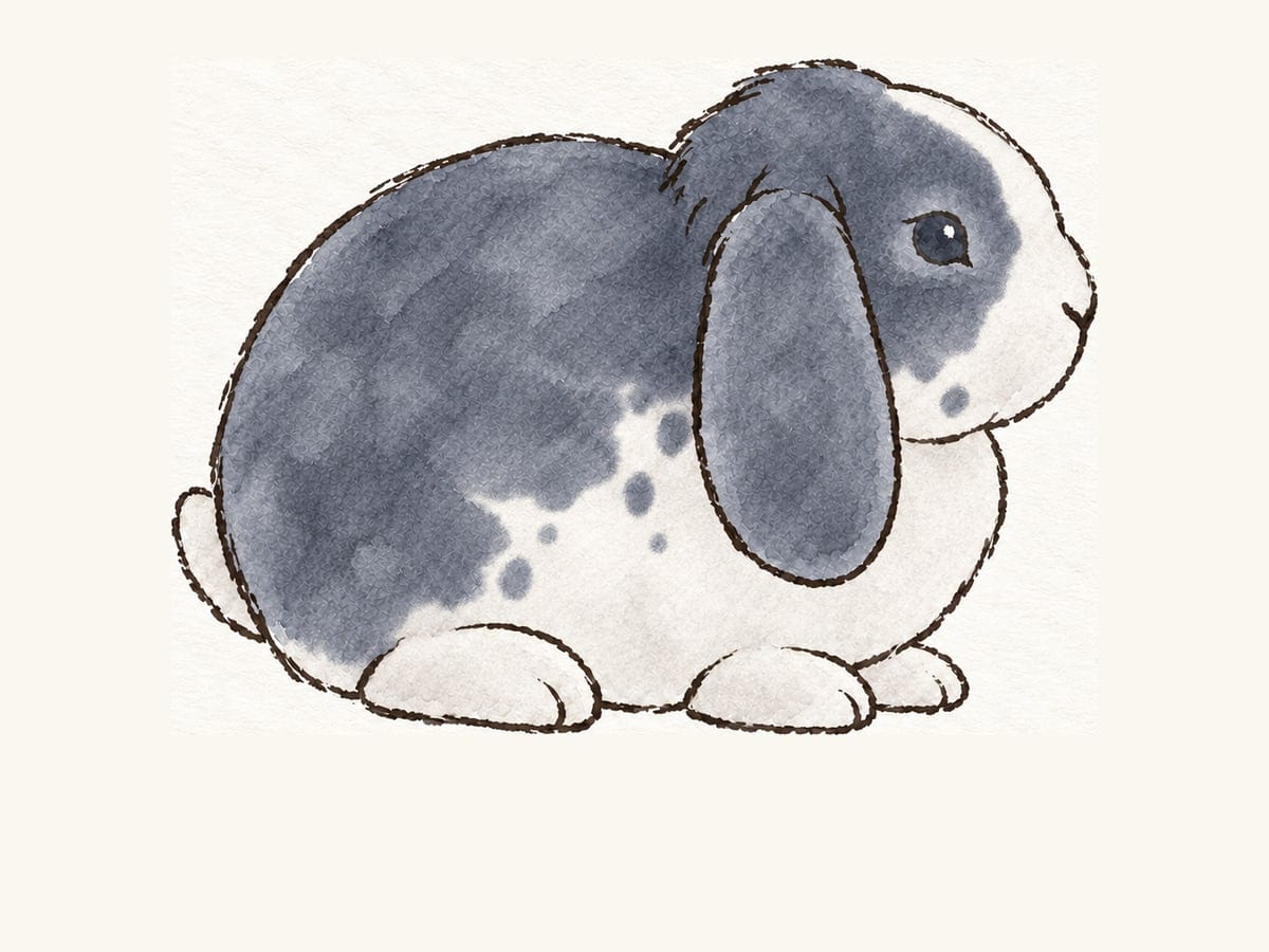 A drawing of a booted blue Mini Plush Lop
